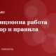 Дистанционна работа: договор, правила и отговорности