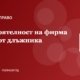 Несъстоятелност на фирма: кога и как длъжникът сам подава молба